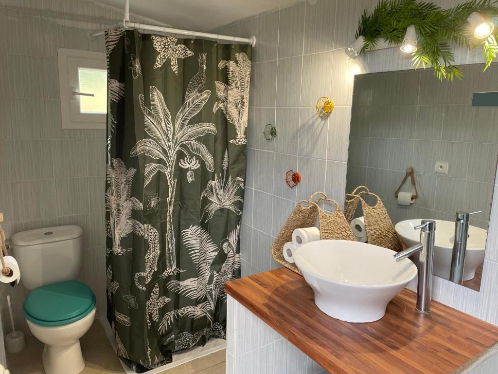 une salle de bain avec un lavabo et un rideau de douche dans l'établissement FORCONE, à Cauro