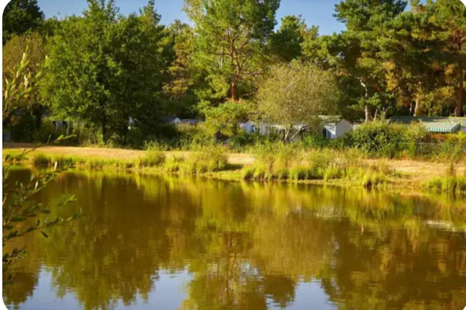 Vue sur un étang avec des arbres en arrière-plan dans l'établissement Mobilhome proche Puy duFou, à La Boissière-de-Montaigu 2 autres photos