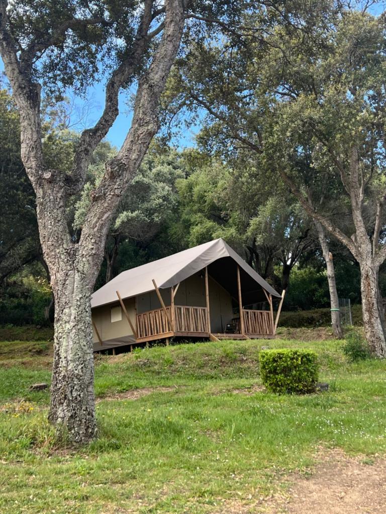 une tente dans un champ avec des arbres en arrière-plan dans l'établissement lodge lavallee, à Belvédère