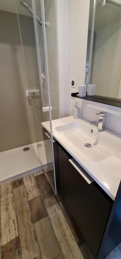 une salle de bain avec un lavabo, un miroir et une baignoire dans l'établissement Bungalow Mobile Home de Luxe Vue Mer Saint-Raphaël 4 personnes, à Saint-Raphaël