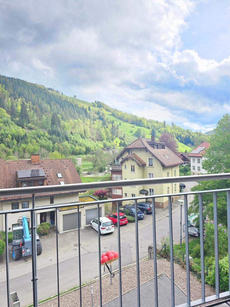 Black Forest II Sauna I Boxspring I Nespresso I Ausblick I Wasserfälle im Ort 6