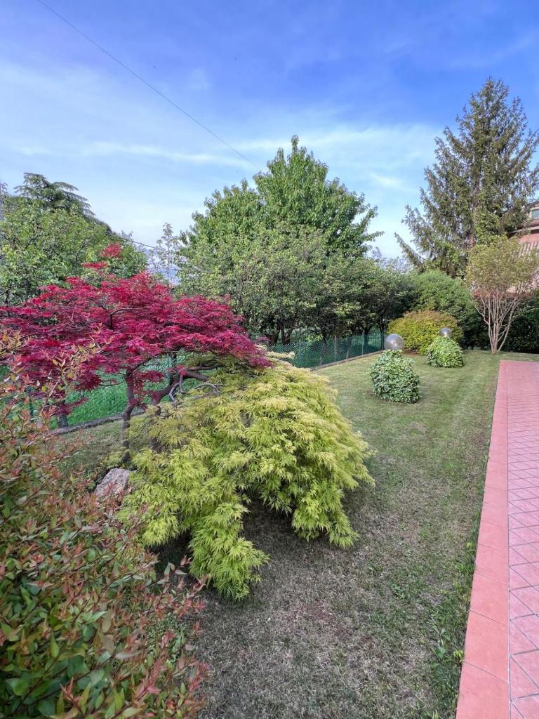 Villa Luisa 4