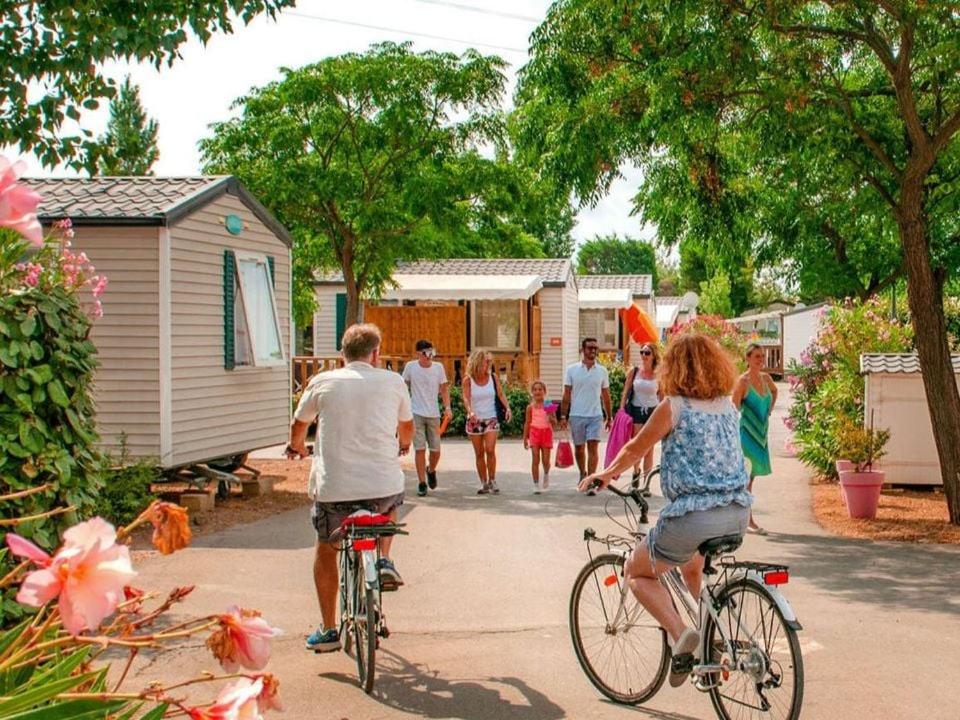 un groupe de personnes faisant du vélo dans une rue dans l'établissement Mobilhome 6 personnes, à Vic-la-Gardiole