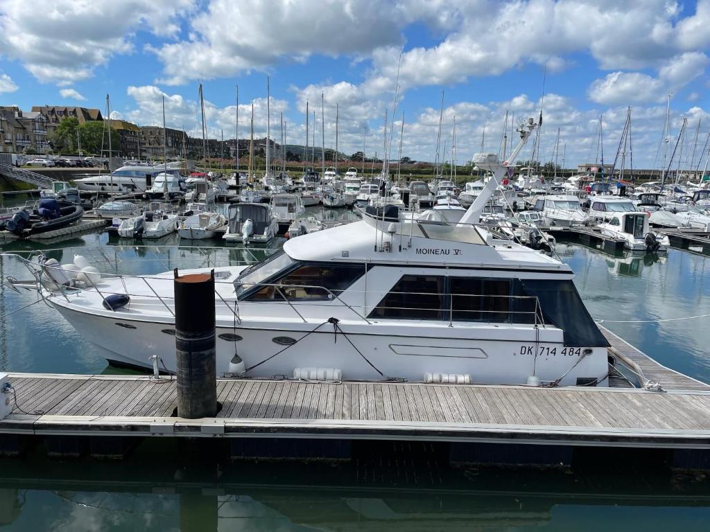 un bateau blanc amarré à un quai avec d'autres bateaux dans l'établissement Yacht Moineau VI, à Deauville