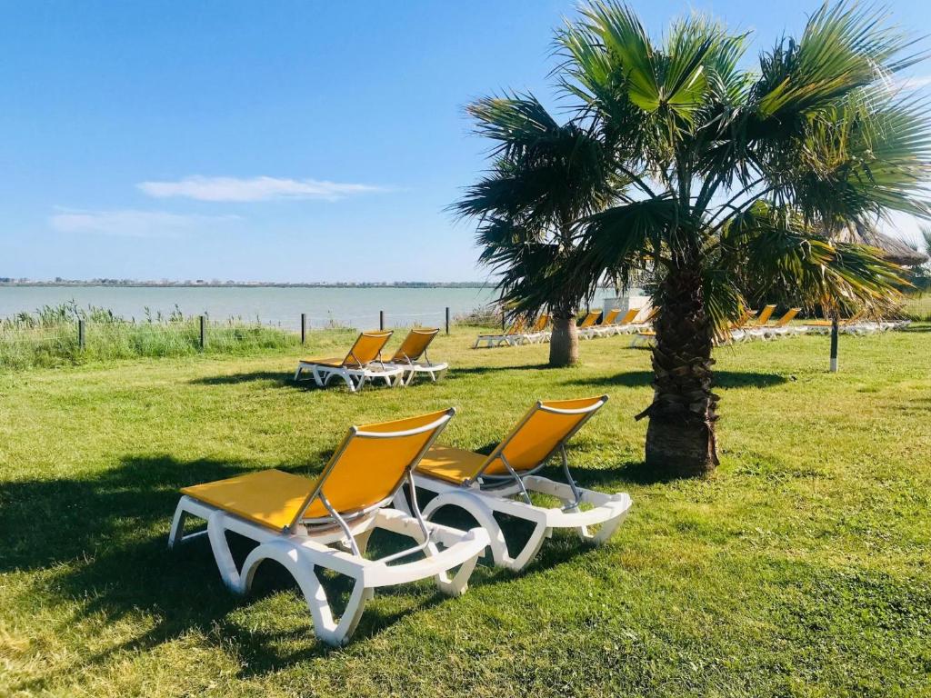 quatre chaises longues et un palmier sur la plage dans l'établissement Mobil-home 3 chambres 6-8 pers - Camping Lac des Rêves, Lattes, à Lattes