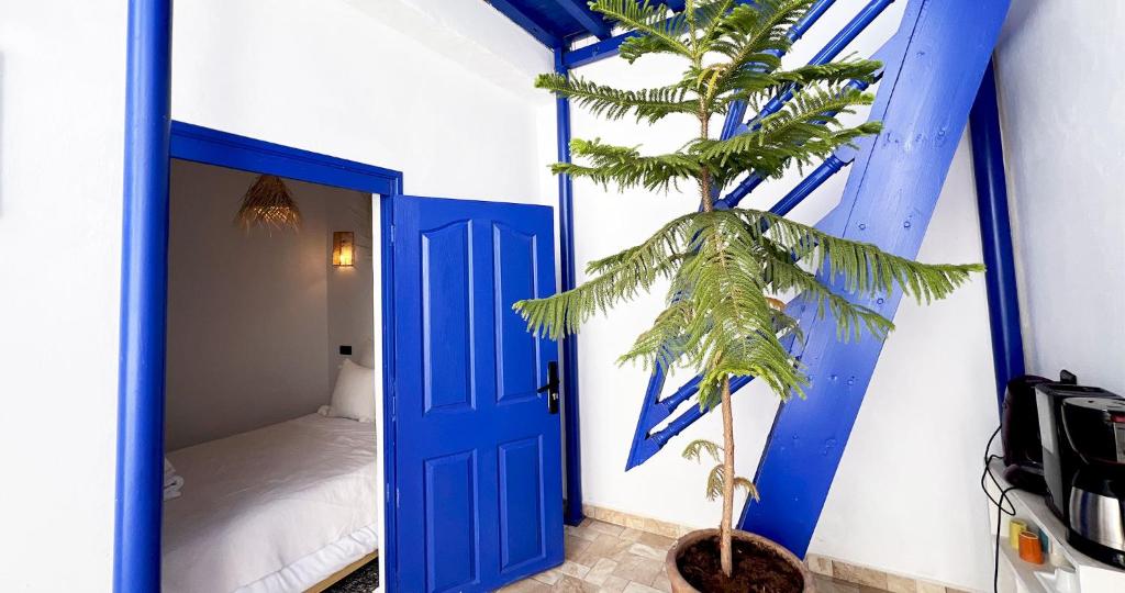 une pièce avec une porte bleue et un palmier dans l'établissement Couloirs de la Médina, à Marrakech