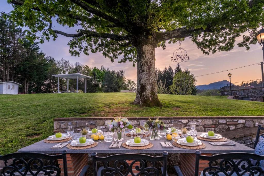 une table avec de la nourriture sous un arbre dans l'établissement Grumo Farmhouse with Private Pool and View near Lucca, à Lucques