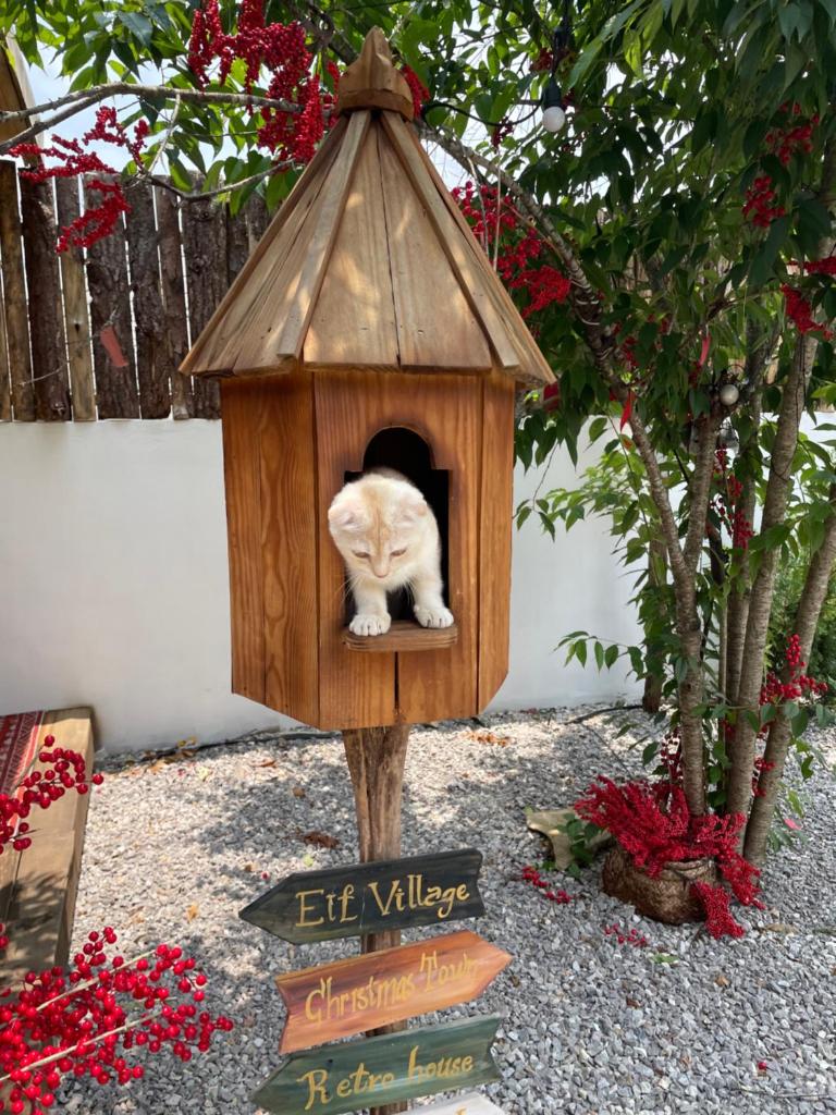 Retro House Mộc Châu