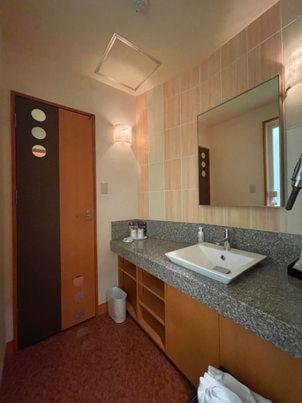 une salle de bain avec un lavabo et un miroir dans l'établissement フラン, à Iwamizawa