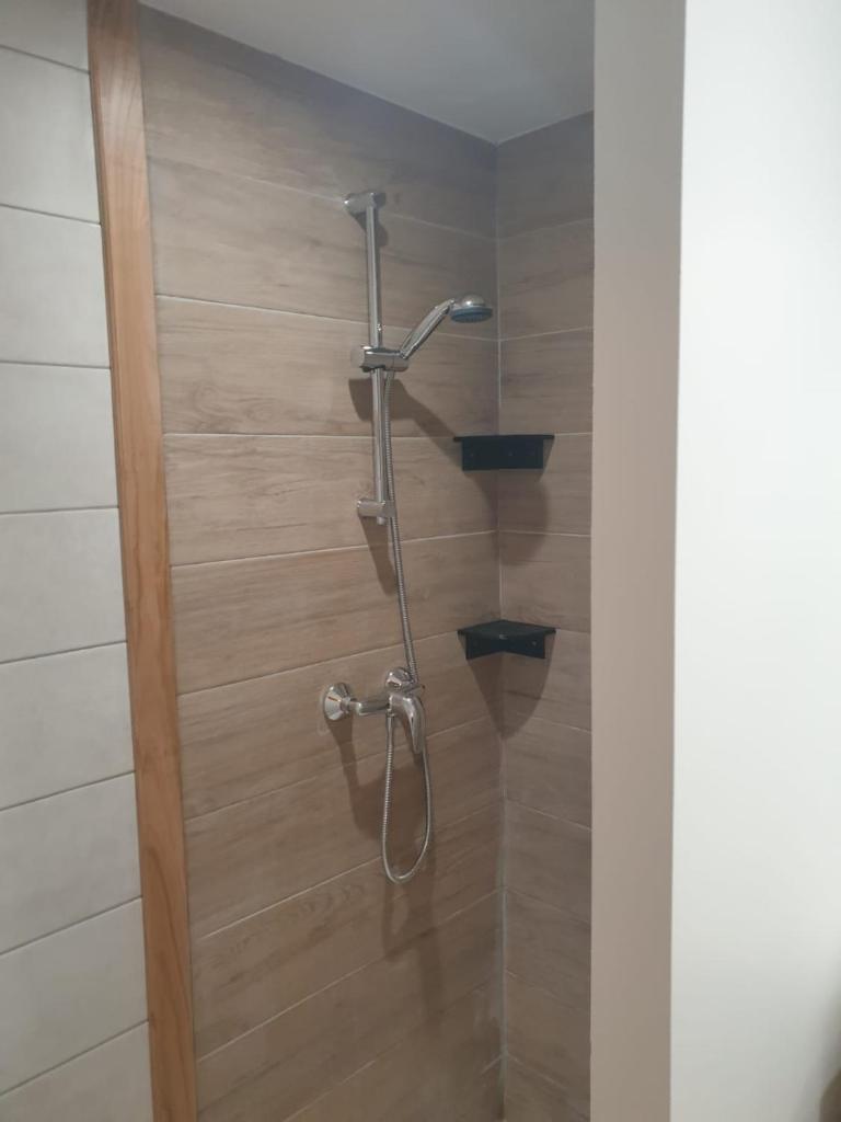 une douche dans une salle de bain avec un mur en bois dans l'établissement Chalet Les Myrtilles aux Saisies, à Hauteluce