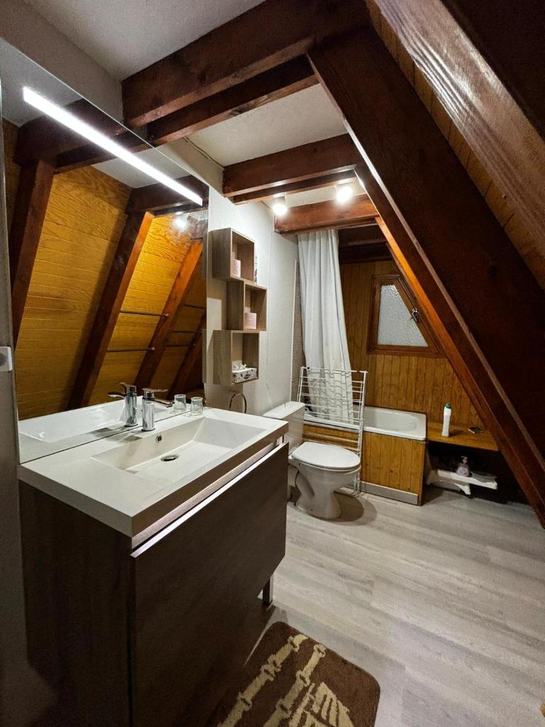 une salle de bain avec un lavabo et des toilettes dans l'établissement Chalet de montagne, à Ustou