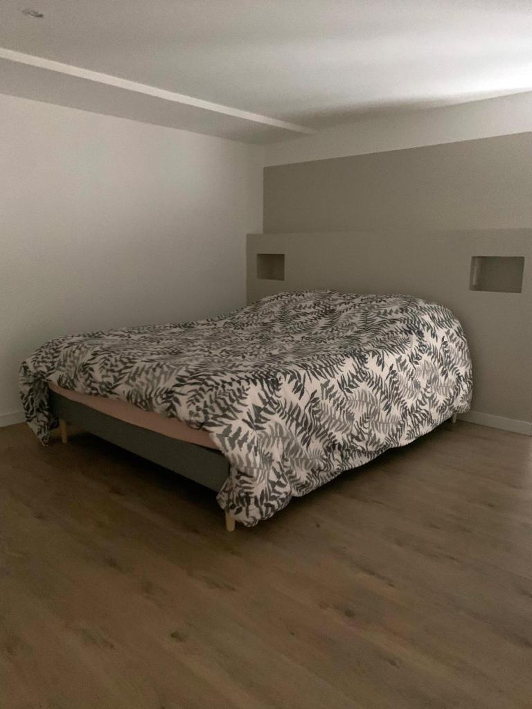 Superbe loft, gare place Carnot 5
