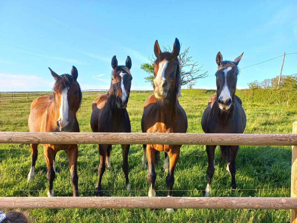 Photo de la galerie de l'établissement Tipi du petit villers, à Le Brethon