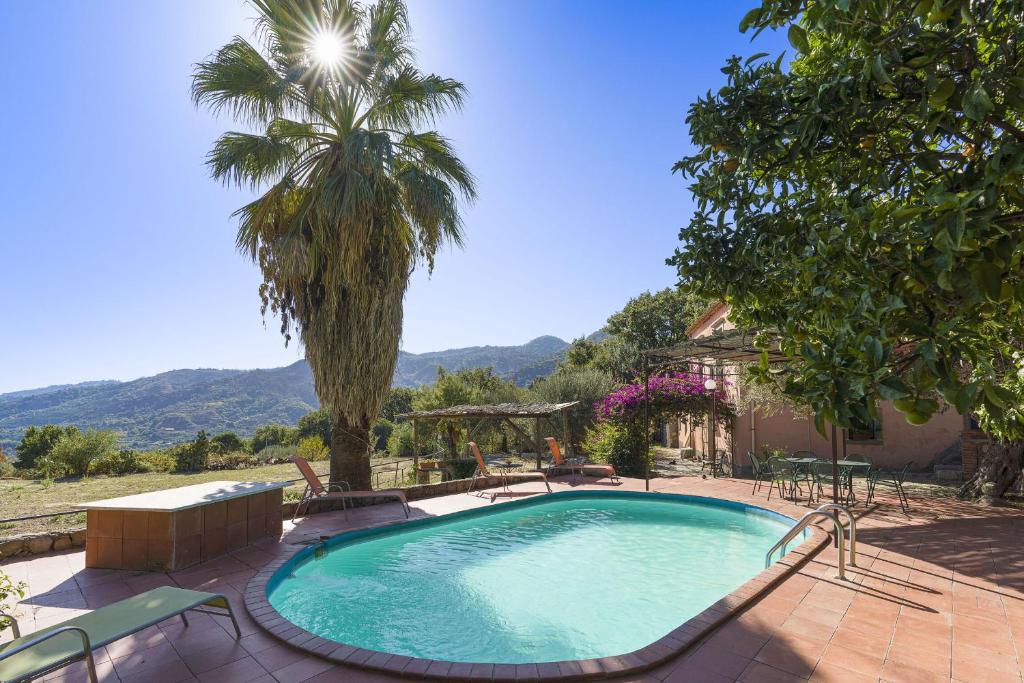 - une piscine avec des chaises et un palmier dans l'établissement Villa Idyllica, à Gaggi