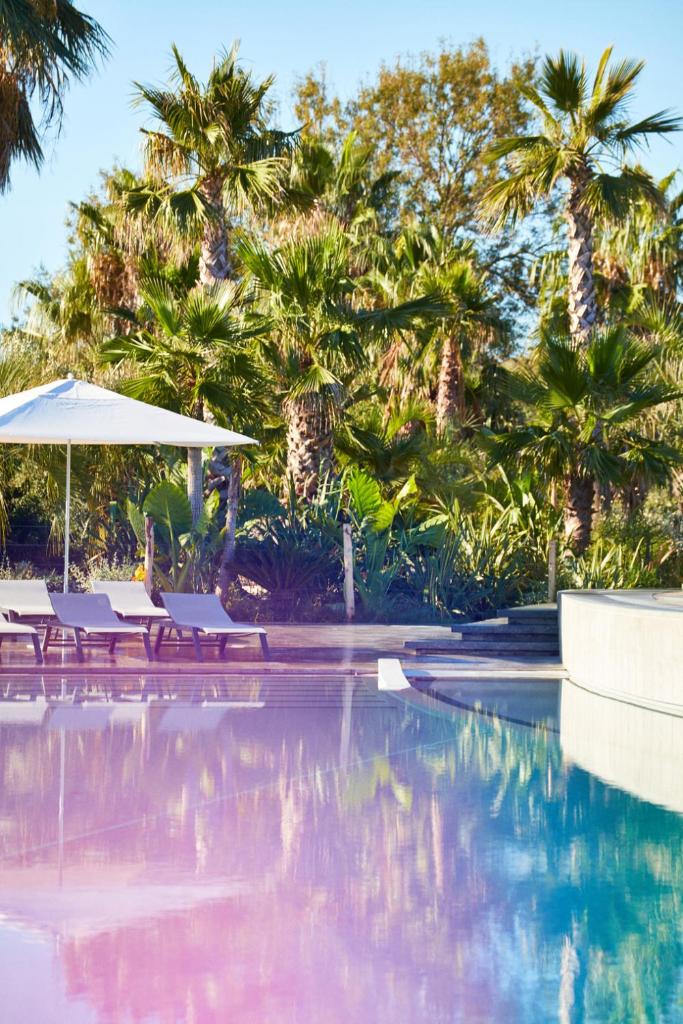 une piscine avec chaises longues, parasols et palmiers dans l'établissement Nova Lodges, à Grimaud