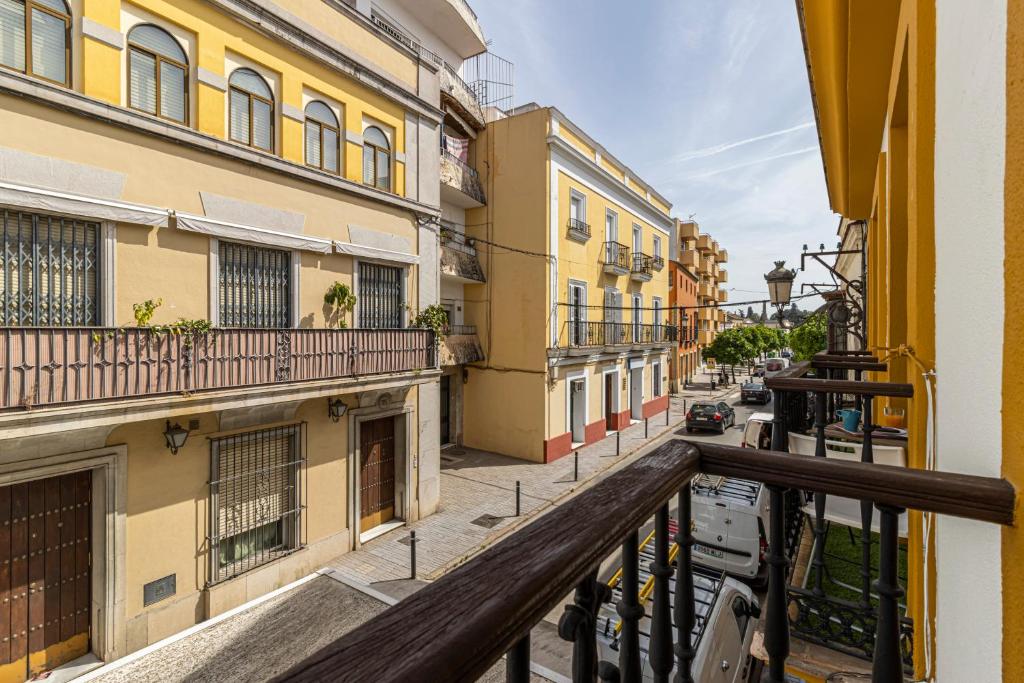 Casa Palacio La Lola y Olé Gran Terraza 4