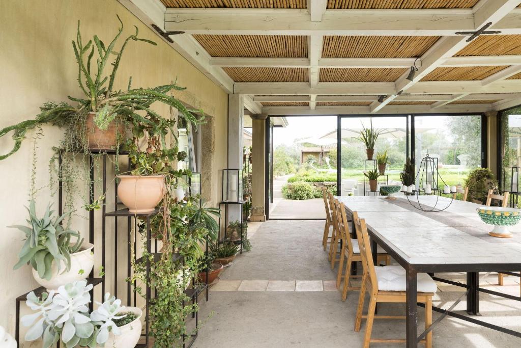 une salle à manger avec une table et beaucoup de plantes dans l'établissement Villa Madera, à Caltagirone