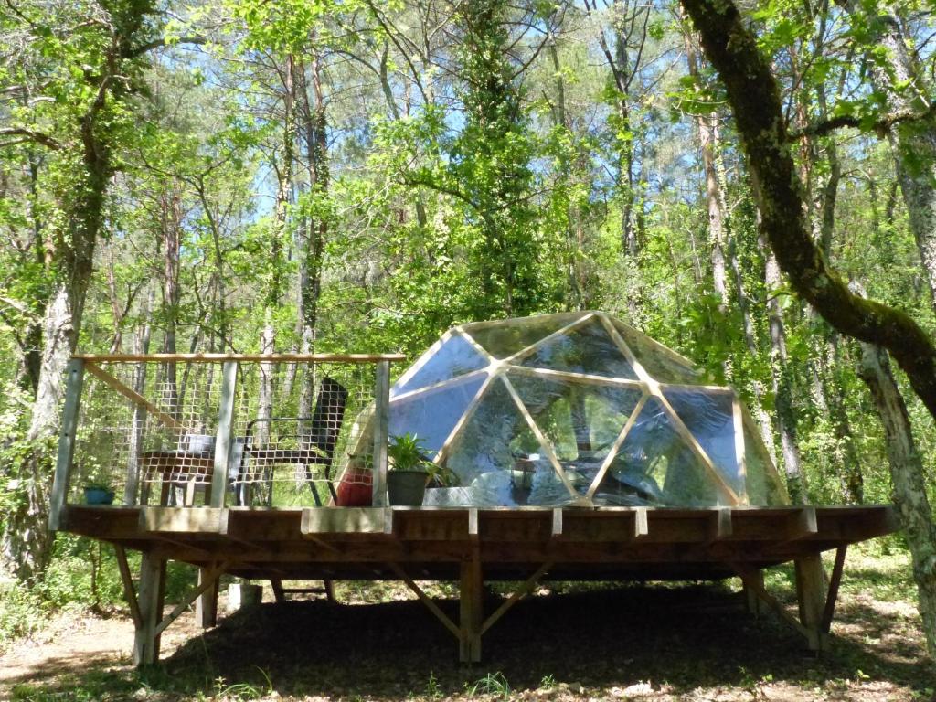 une serre sur une table en bois dans les bois dans l'établissement Arborea, nuits insolites au cœur de la forêt, à Montignac