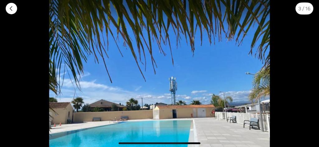- une vue sur la piscine bordée d'un palmier dans l'établissement Mobil home de charme à la mer, à Fréjus