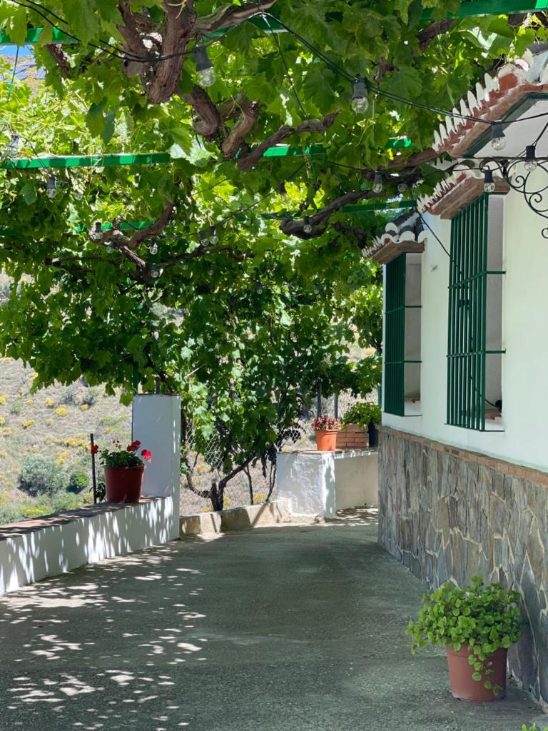 Casa Frontillas Moclinejo 7