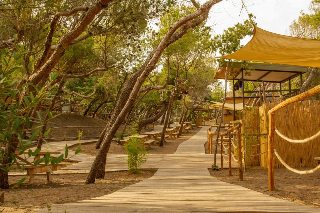 un chemin en bois dans un parc avec des arbres et des bancs dans l'établissement CSA Hotel Beach & Park, à Marina di Bibbona