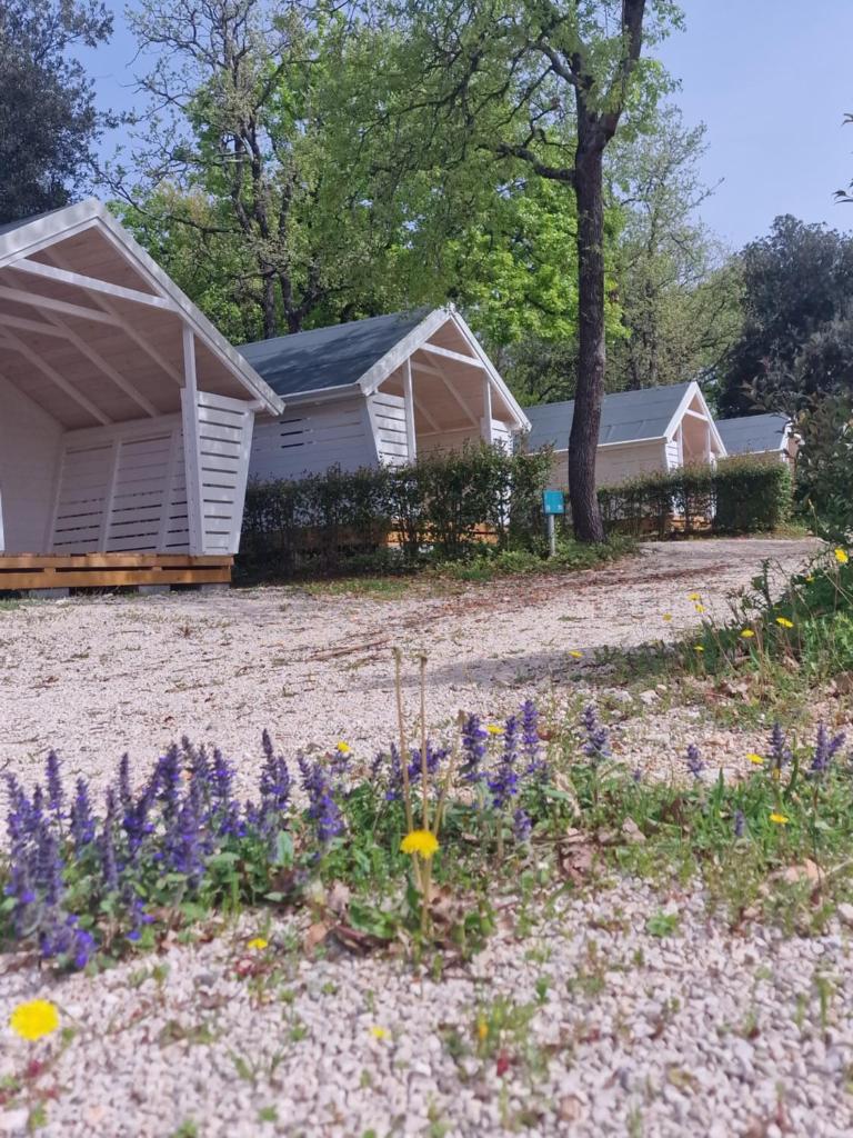 Fkk Adriatika in FKK Solaris Naturist Resort