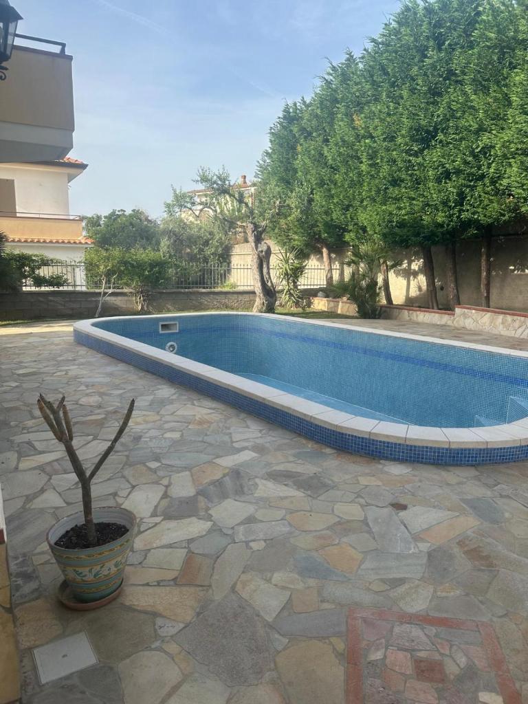 - une piscine avec une plante en pot dans une cour dans l'établissement Villa Framaca, à Furnari