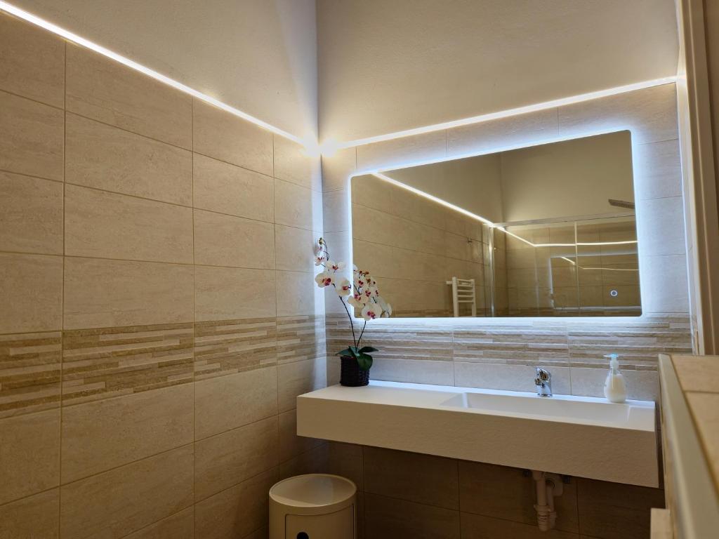 une salle de bain avec un lavabo et un miroir dans l'établissement VILLA BEL PANORAMA 8, Emma Villas, à San Gimignano