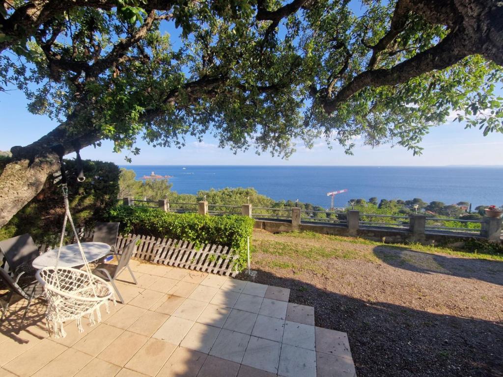 un patio avec une table et des chaises sous un arbre dans l'établissement Au Petit Paradis, à Saint-Raphaël
