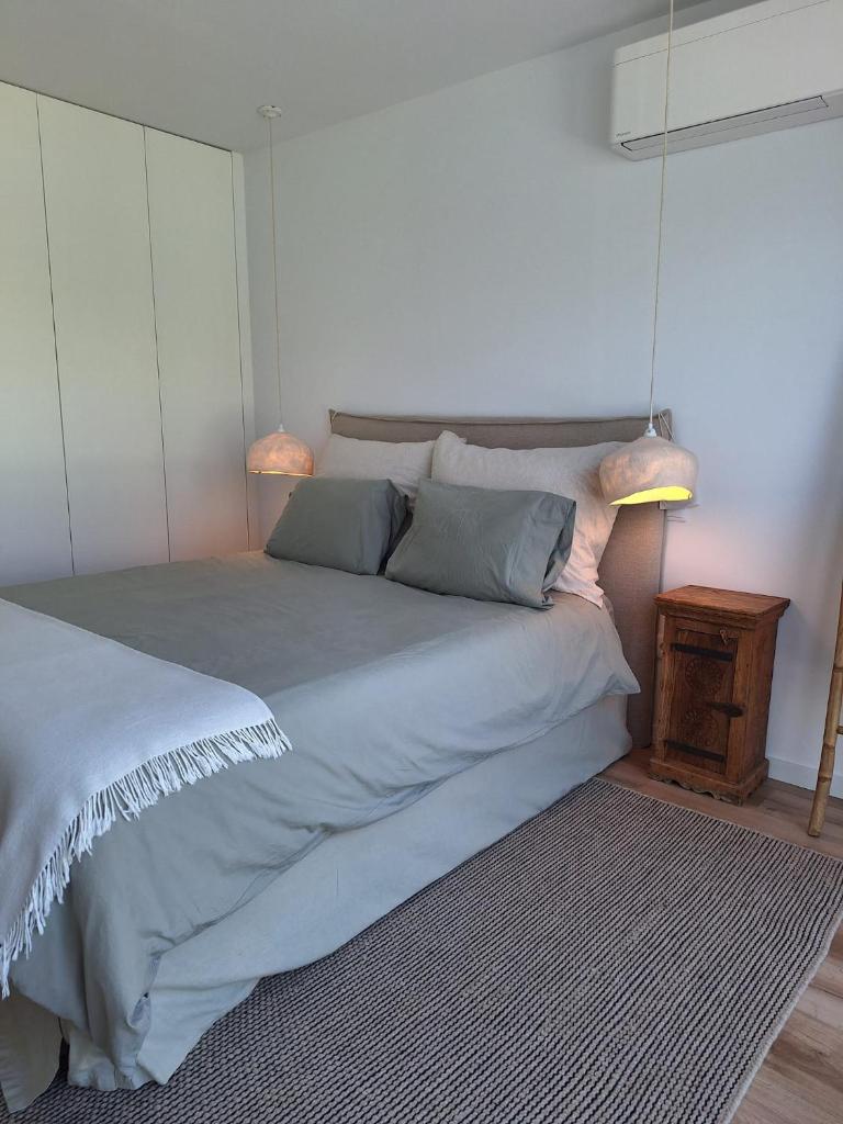 Luxury Green Apartment in The Historic Centre Aveiro 2