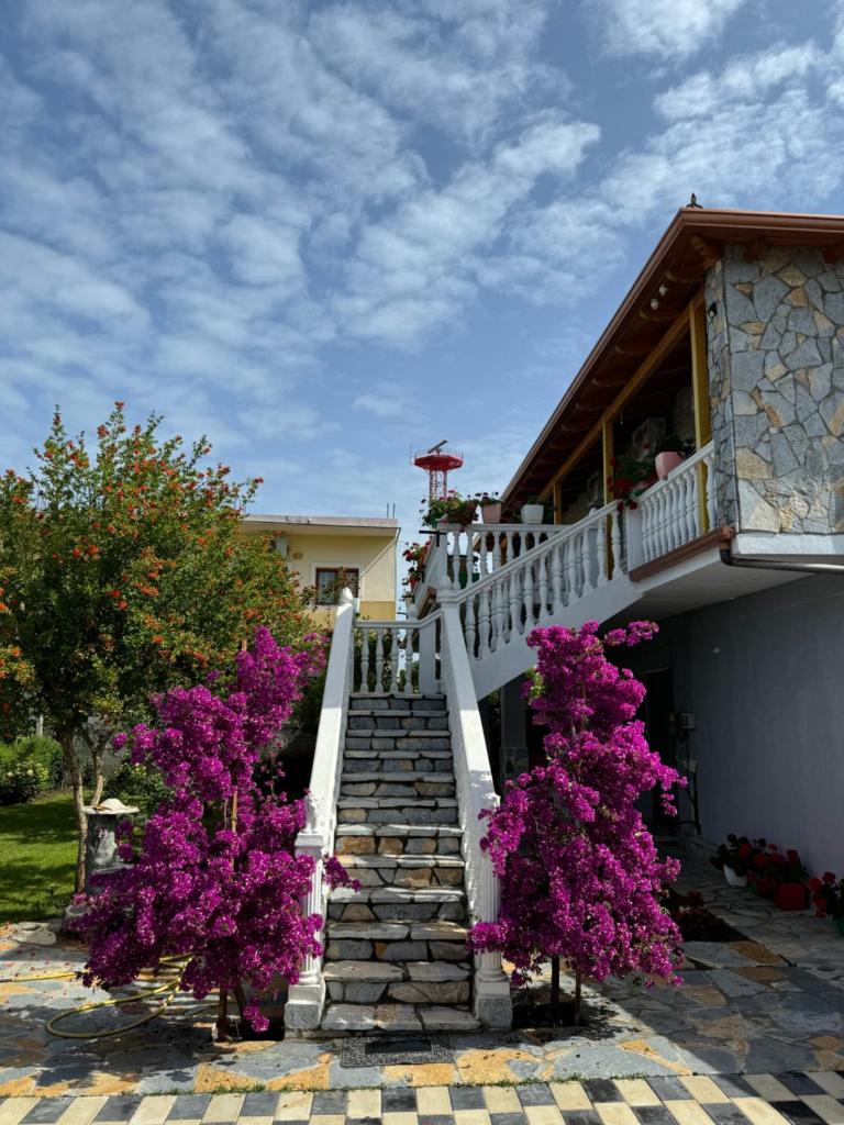 Holiday House 8
