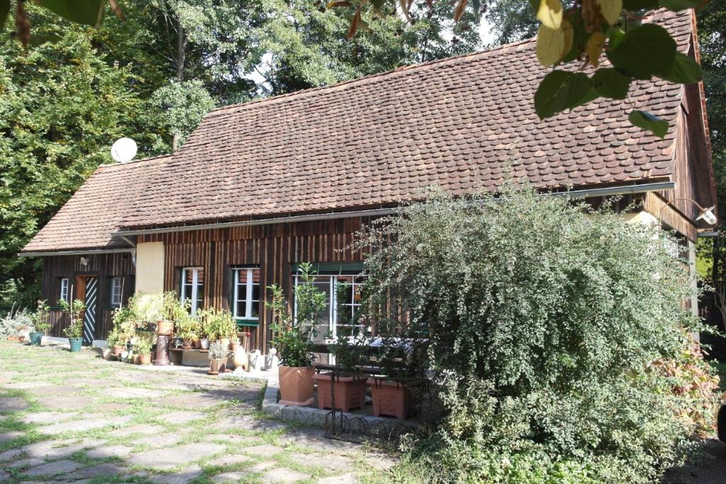 Presshaus Alte Mühle 6