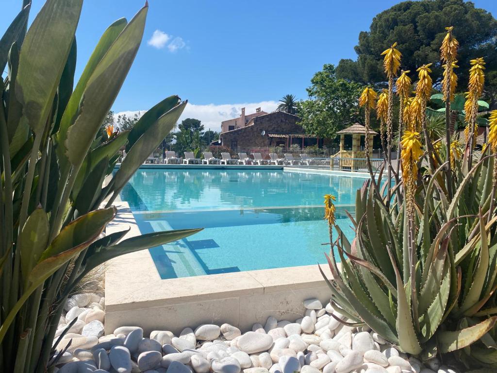 - une piscine avec un cactus en face dans l'établissement My Sweet Lodge, à Saint-Raphaël