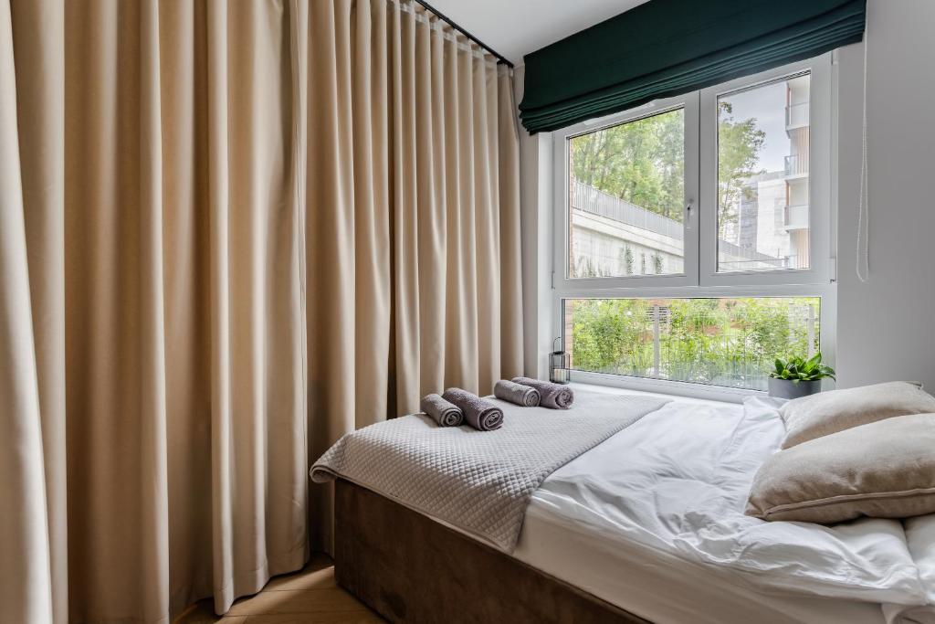 Jungle Apartment 2