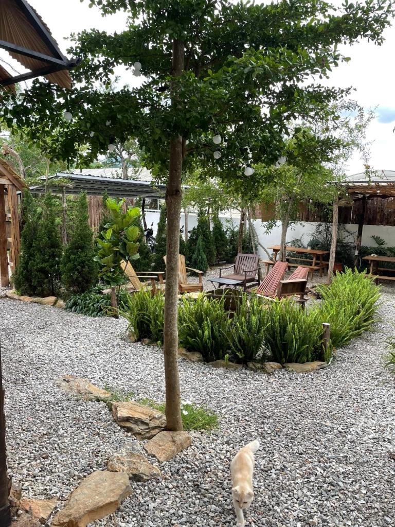 Retro House Mộc Châu