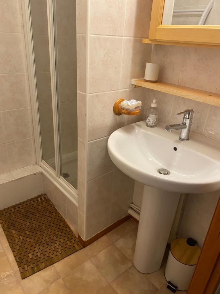 une salle de bain avec un lavabo et une douche dans l'établissement Ambiance montagne front de neige, à Thollon-les-Mémises