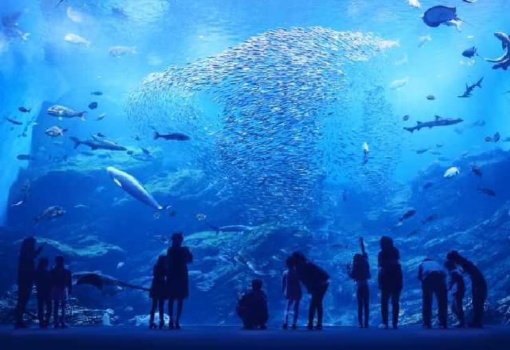 un groupe de personnes debout devant un grand aquarium dans l'établissement Asian Hotel CYALA - Adult Only, à Sendai 5 autres photos