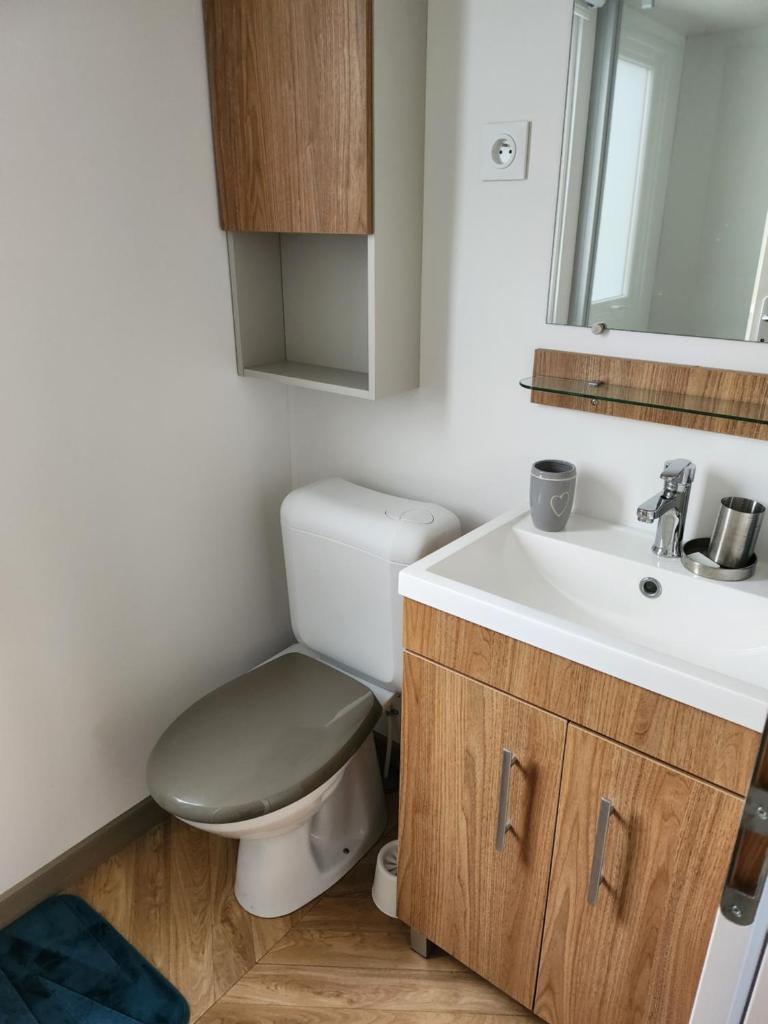 une salle de bain avec toilettes et lavabo dans l'établissement Litteau 105, à Litteau