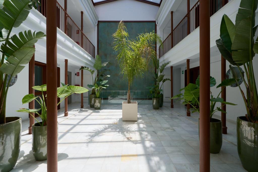 Casa Pizarro, by Homing U 2