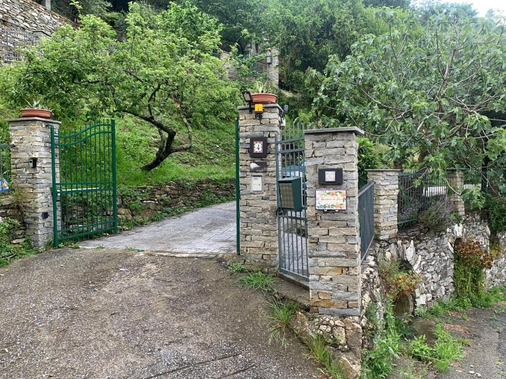 Il Giardino di Piero - LT-0029 8