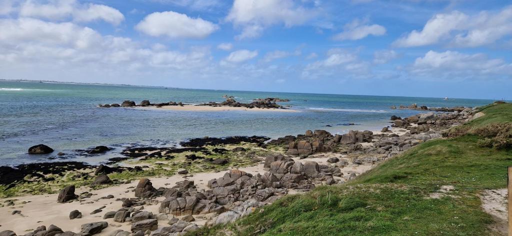 un groupe d'animaux sur une plage rocheuse dans l'océan dans l'établissement Mobil home plouescat, à Plouescat 3 autres photos