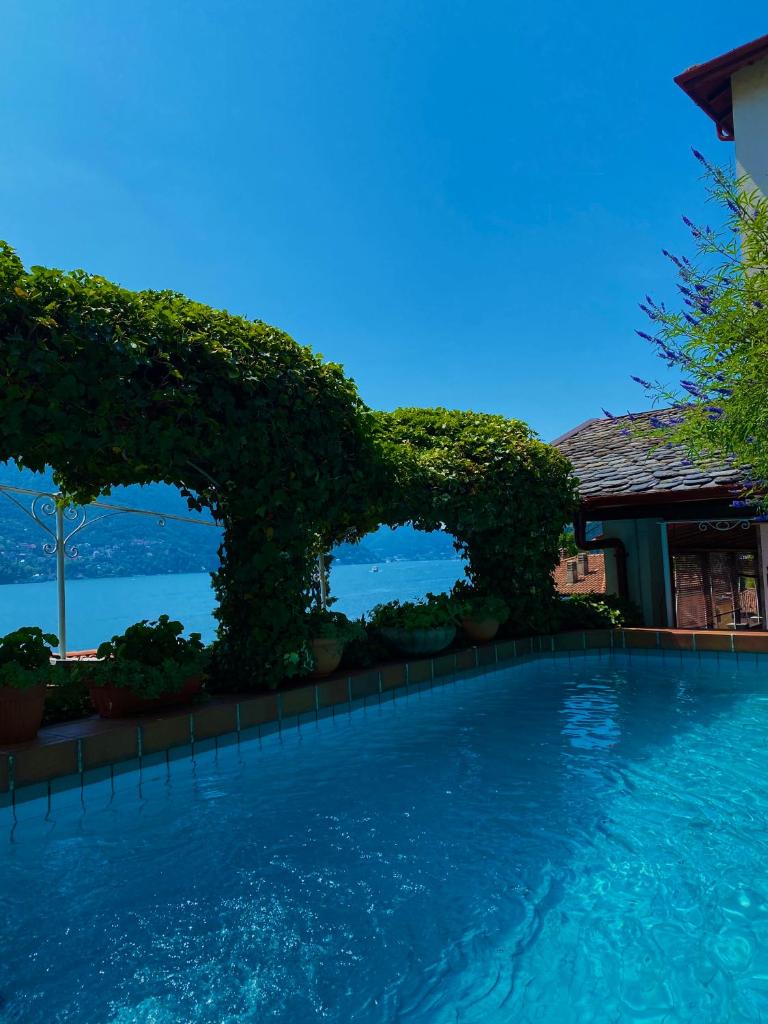 une grande piscine avec vue sur l'eau dans l'établissement Villa Andreina Como Lake, à Moltrasio