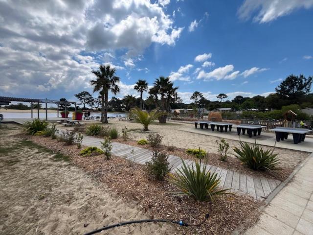 un parc avec des bancs et des palmiers sur la plage dans l'établissement Mobilhome dans camping siblu les Viviers, à Lège-Cap-Ferret