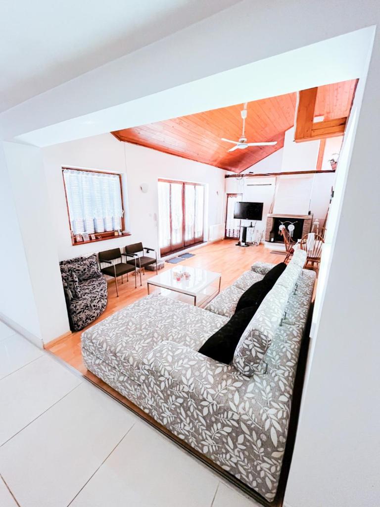 Vila Avala 5