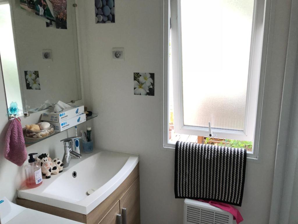 une salle de bain avec un lavabo et une fenêtre dans l'établissement ESTEREL le Montourey FRÉJUS, à Fréjus