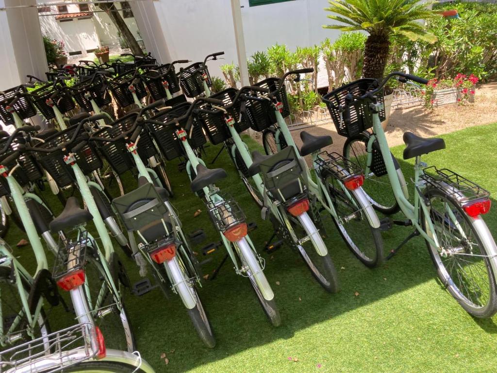 une rangée de vélos garés l'un à côté de l'autre dans l'établissement Villaggio Benvivere, à Senigallia