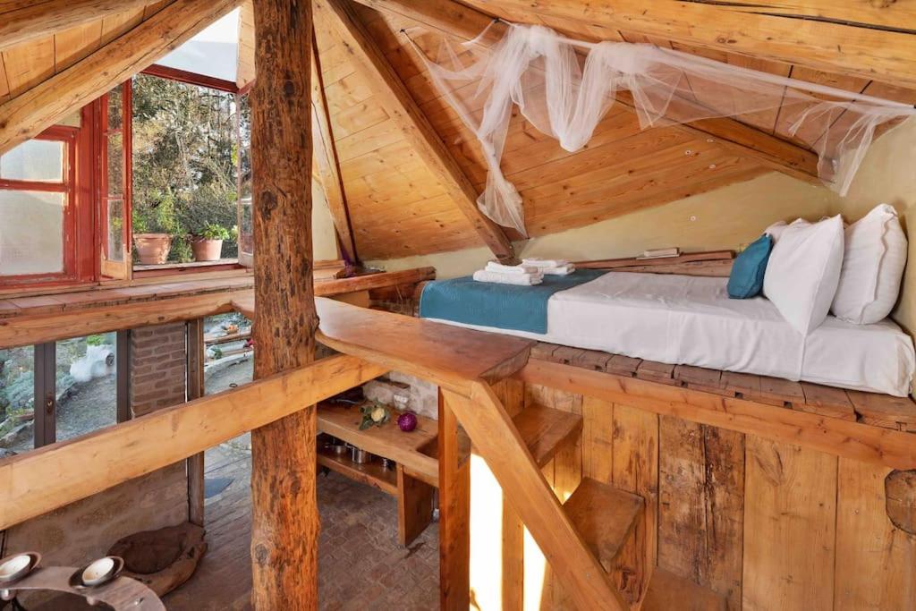 Margaritis's Treehouse 7