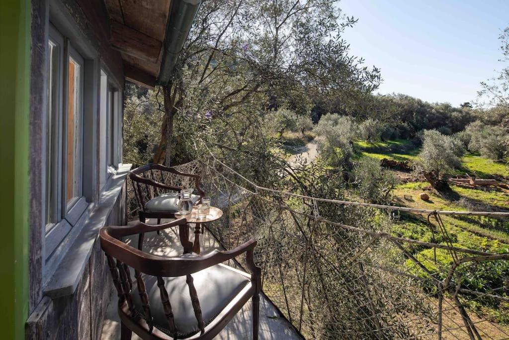 Margaritis's Treehouse 6