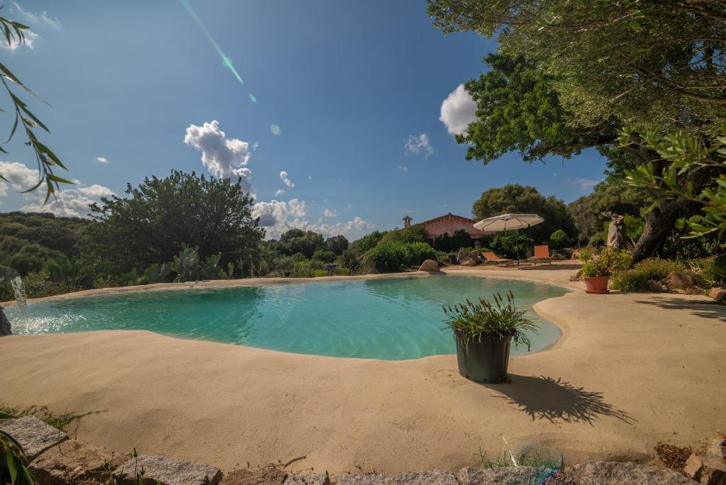une grande piscine d'eau dans une cour dans l'établissement Stazzu La Piredda, à Arzachena