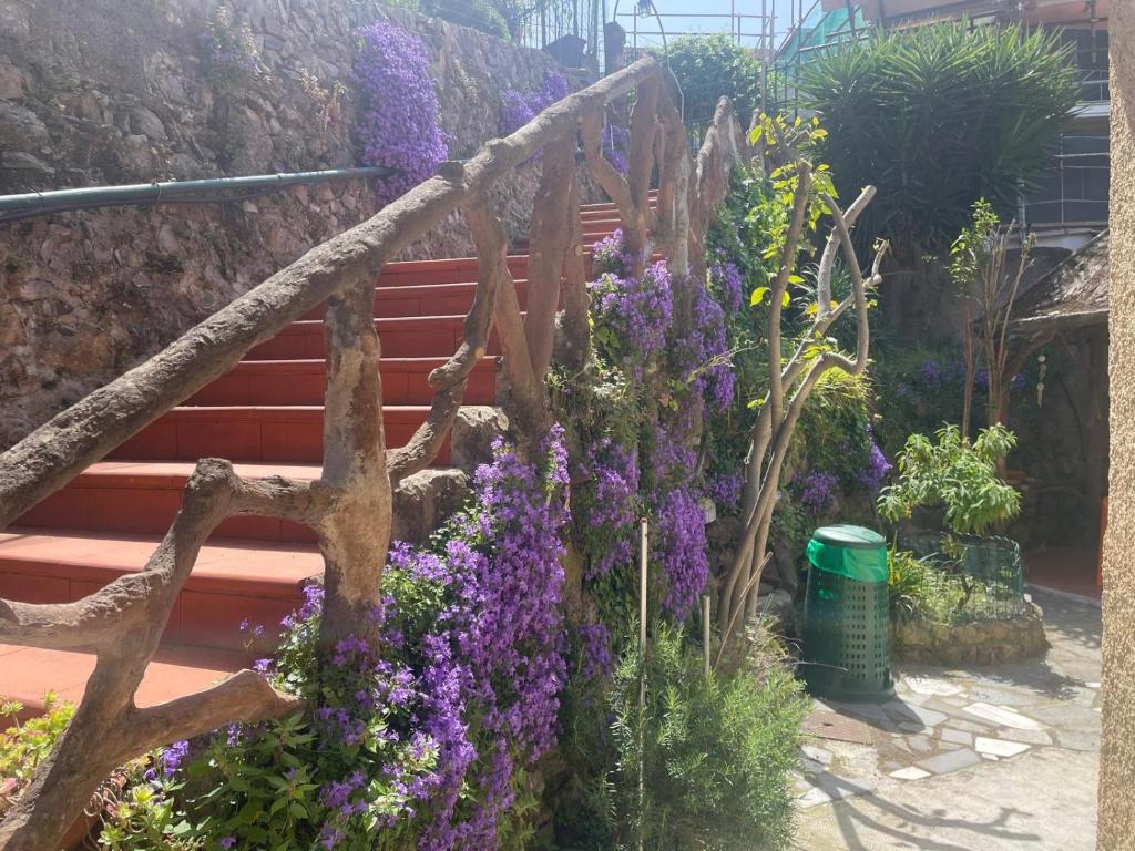 Villa indipendente con giardino 2